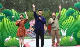 松柏道馆爆料视频大全最新,揭秘幕后精彩瞬间
